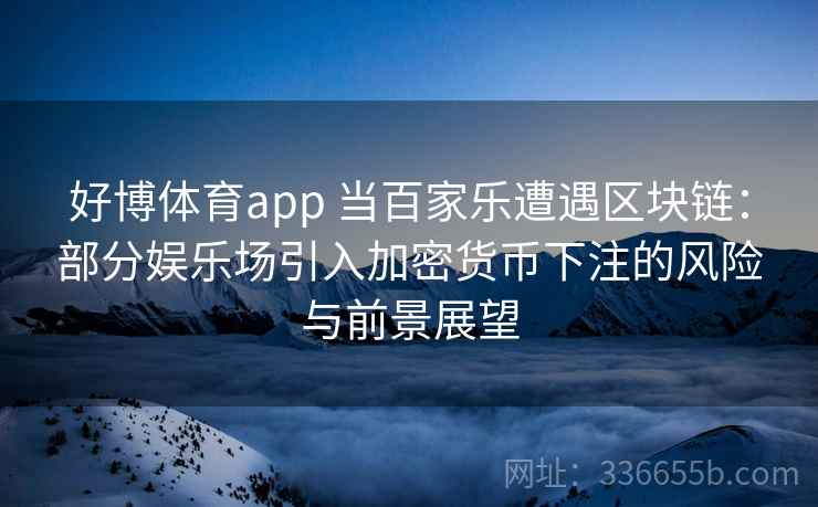 好博体育app 当百家乐遭遇区块链：部分娱乐场引入加密货币下注的风险与前景展望