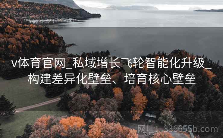 v体育官网_私域增长飞轮智能化升级_构建差异化壁垒、培育核心壁垒