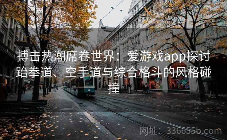 搏击热潮席卷世界：爱游戏app探讨跆拳道、空手道与综合格斗的风格碰撞