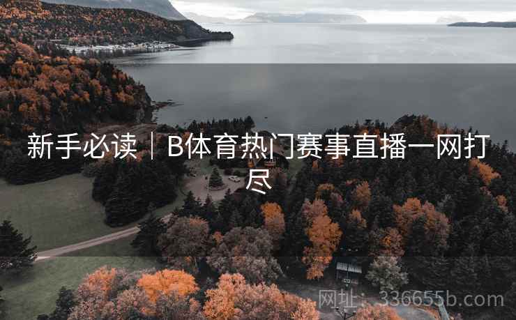 新手必读｜B体育热门赛事直播一网打尽
