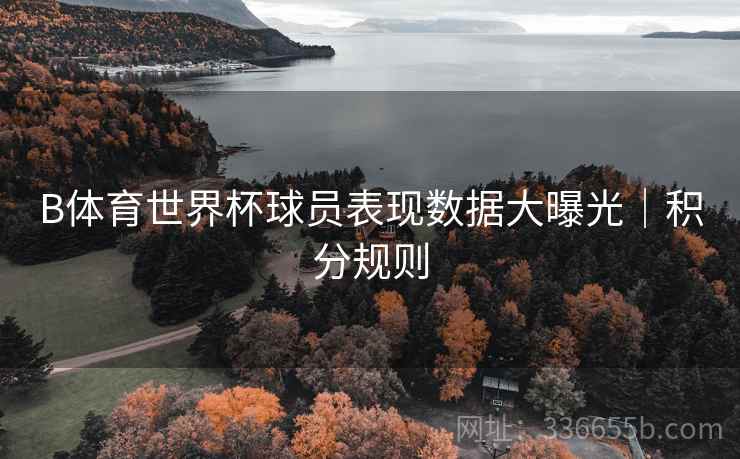 B体育世界杯球员表现数据大曝光｜积分规则
