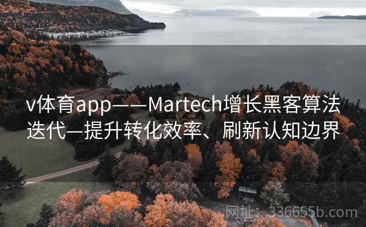 v体育app——Martech增长黑客算法迭代—提升转化效率、刷新认知边界