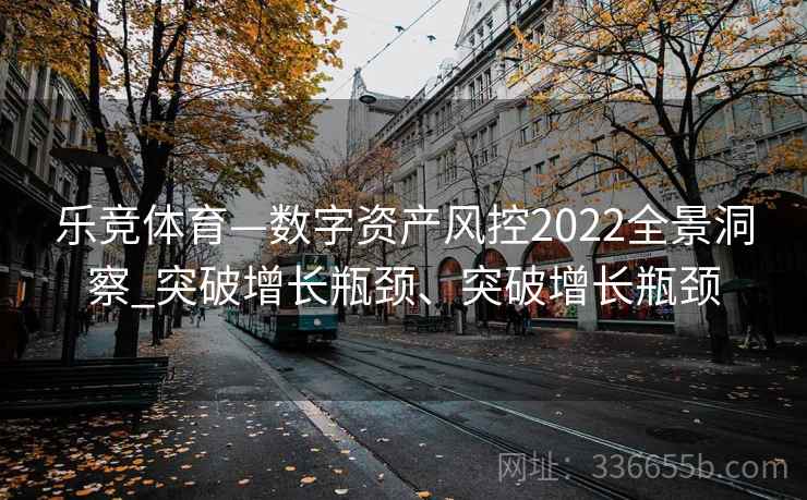 乐竞体育—数字资产风控2022全景洞察_突破增长瓶颈、突破增长瓶颈