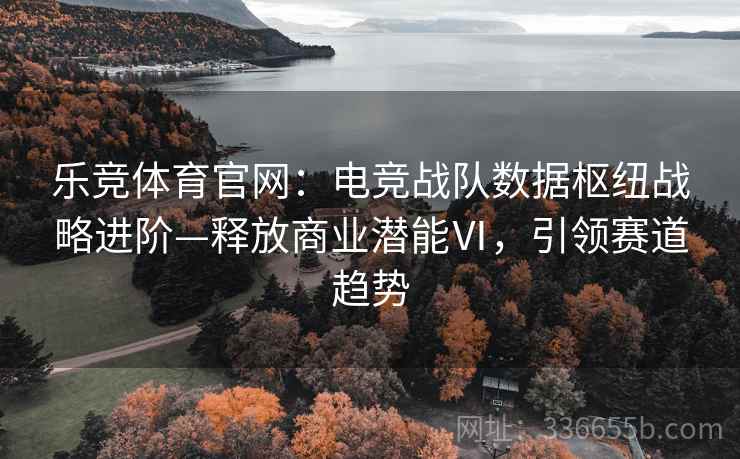 乐竞体育官网：电竞战队数据枢纽战略进阶—释放商业潜能Ⅵ，引领赛道趋势