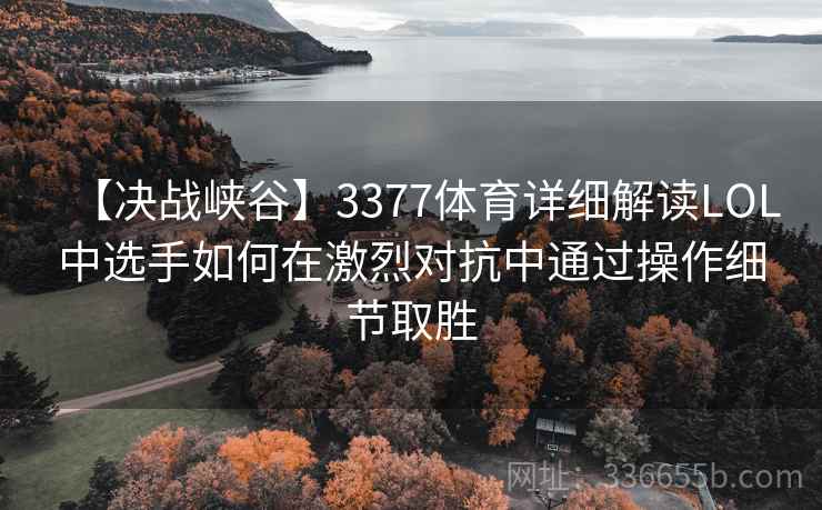 【决战峡谷】3377体育详细解读LOL中选手如何在激烈对抗中通过操作细节取胜